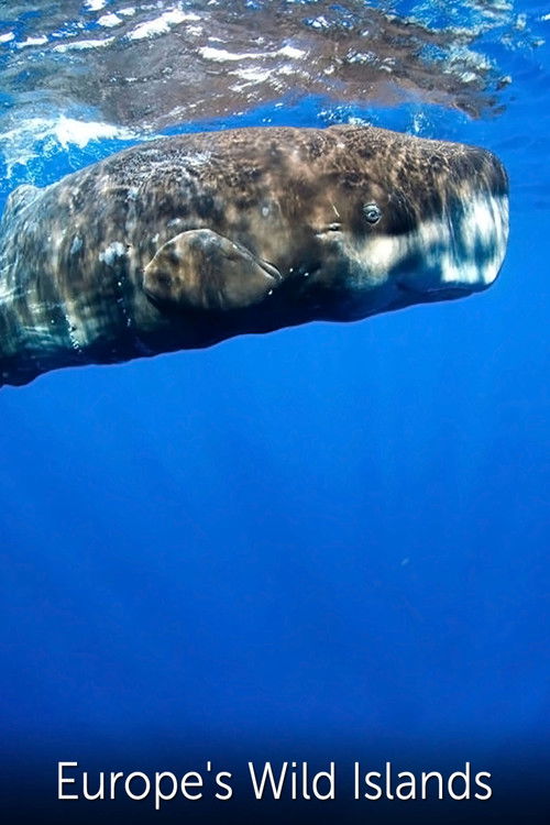 Europe's Wild Islands (2016) poster