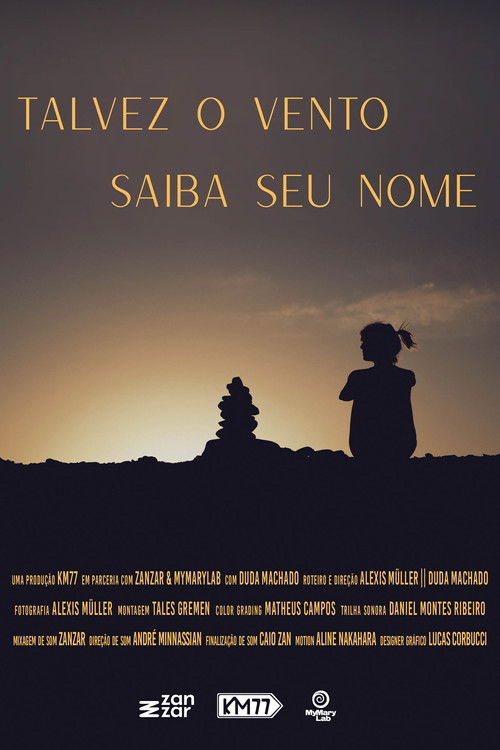 Talvez o Vento Saiba seu Nome (2024) poster