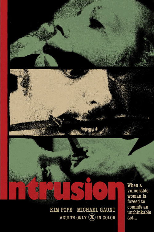 The Intrusion (1975) poster