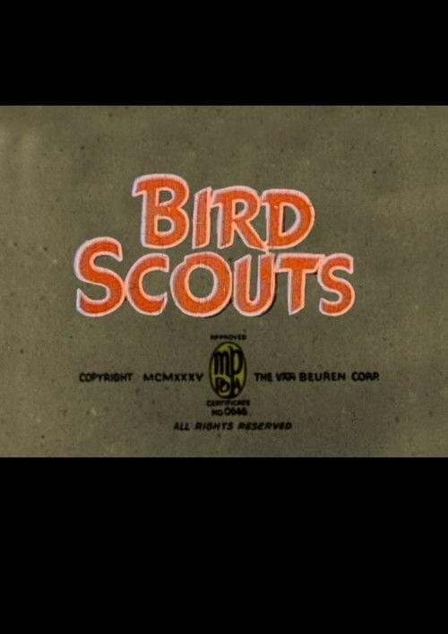 Bird Scouts (1935) poster