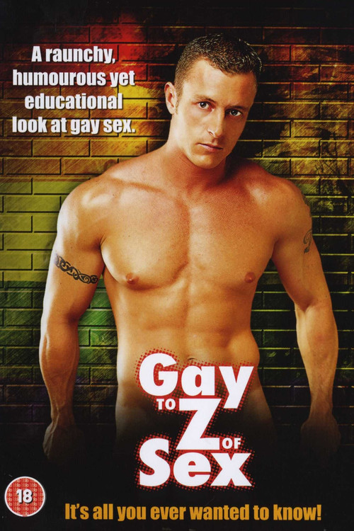 Gay to Z of Sex (2000) poster