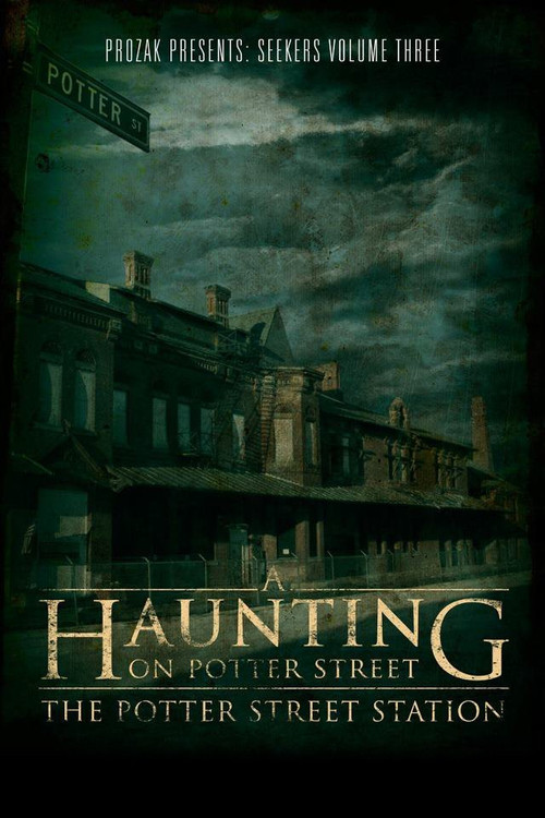 A Haunting on Potter Street: The Potter Street Station (2012) poster