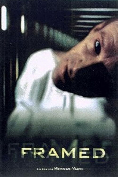 Framed (1999) poster