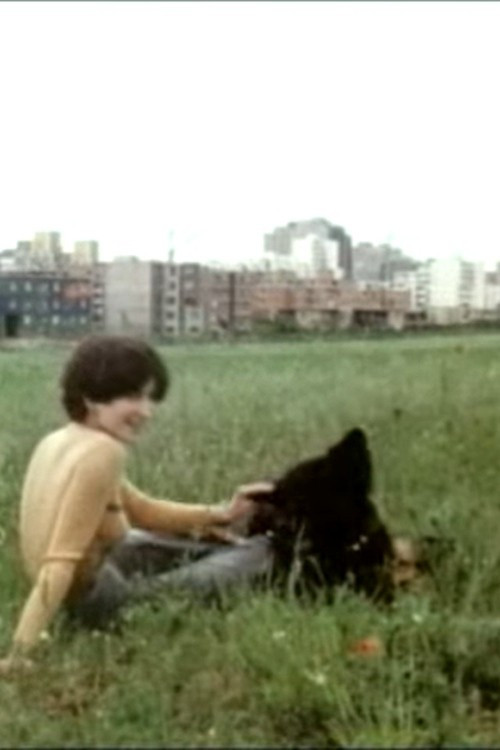 "...arm würd' ich nicht sagen..." (1978) poster