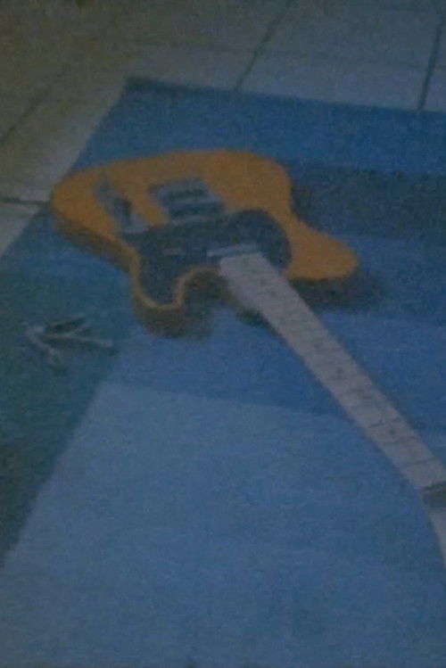 CATSIT commands (2020) poster