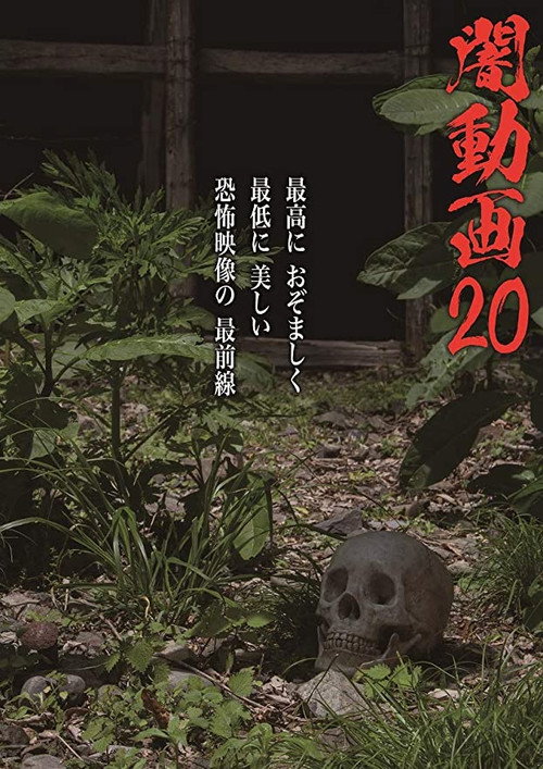 Tokyo Videos of Horror 20 (2018) poster