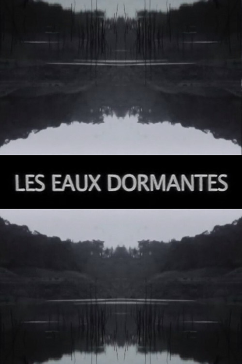 Les Eaux dormantes (2016) poster
