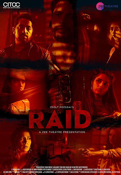 Raid (2019) poster
