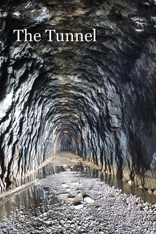 The Tunnel (2021) poster