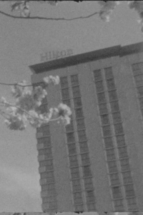 S. for L. (2023) poster