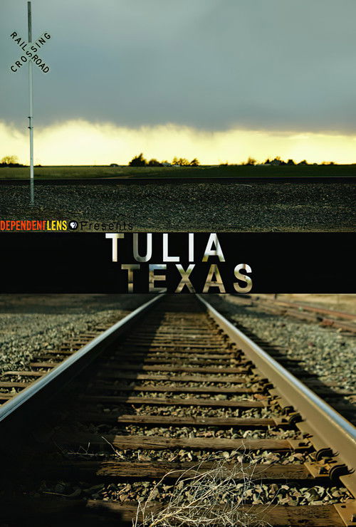 Tulia, Texas (2008) poster