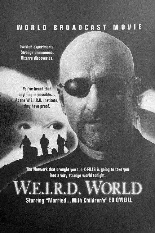 W.E.I.R.D. World (1995) poster