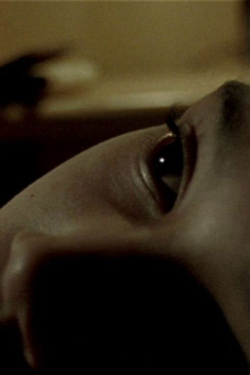 On the Loose (2004) poster