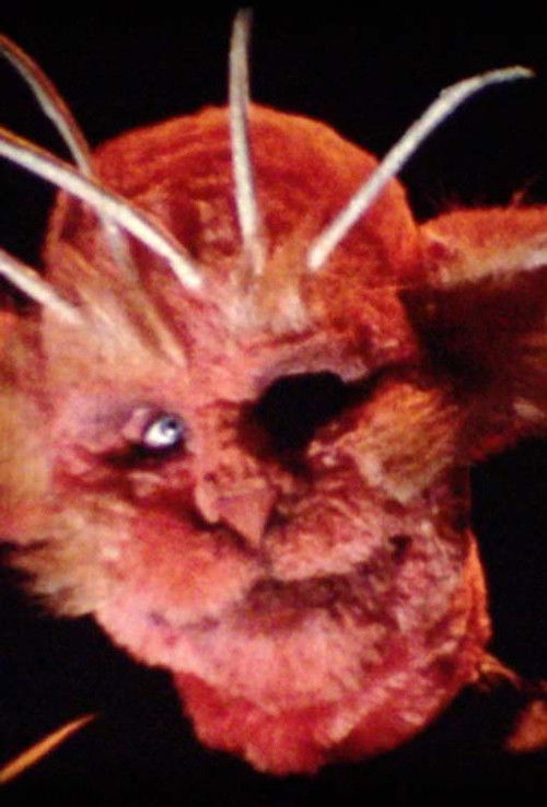 Rescue Party (1978) poster