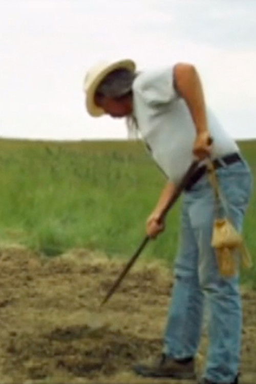 The Garden (2009) poster