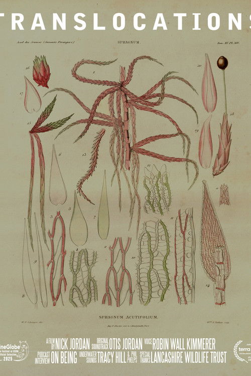 Translocations (2025) poster