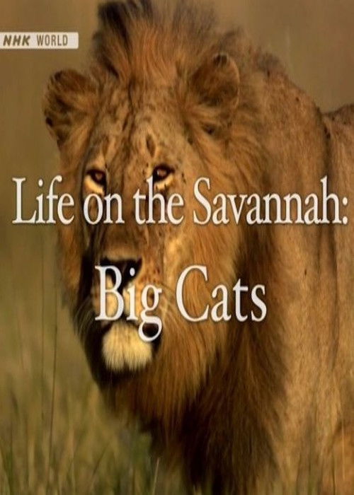 Life on the Savannah: Big Cats (2010) poster