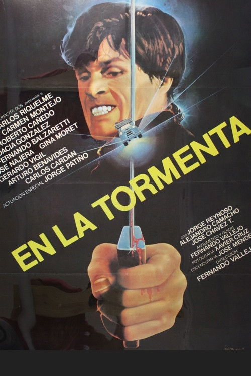 En la tormenta (1982) poster