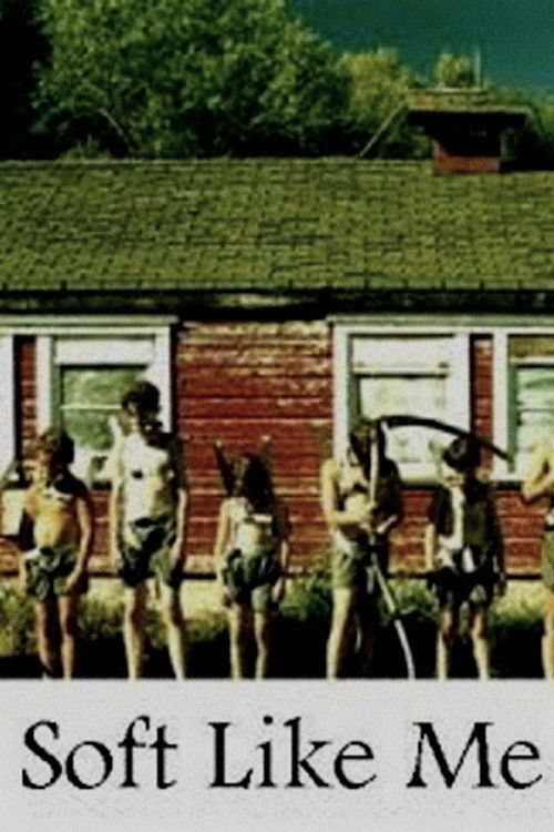 Soft Like Me (1996) poster