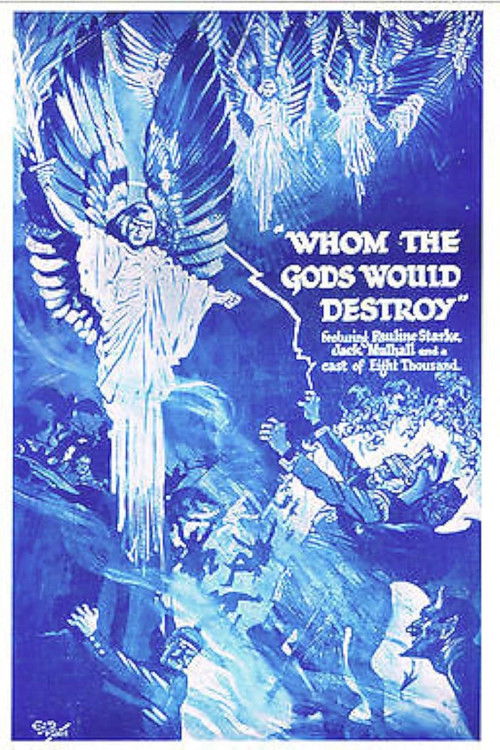Whom the Gods Would Destroy (1919) poster