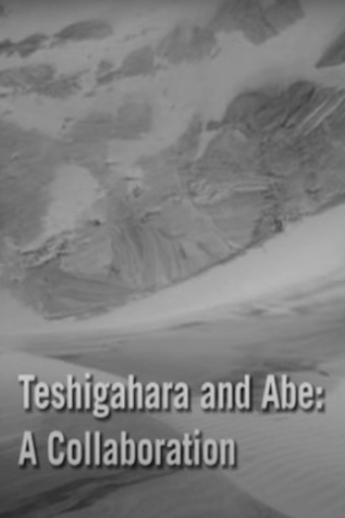 Teshigahara and Abe (2007) poster