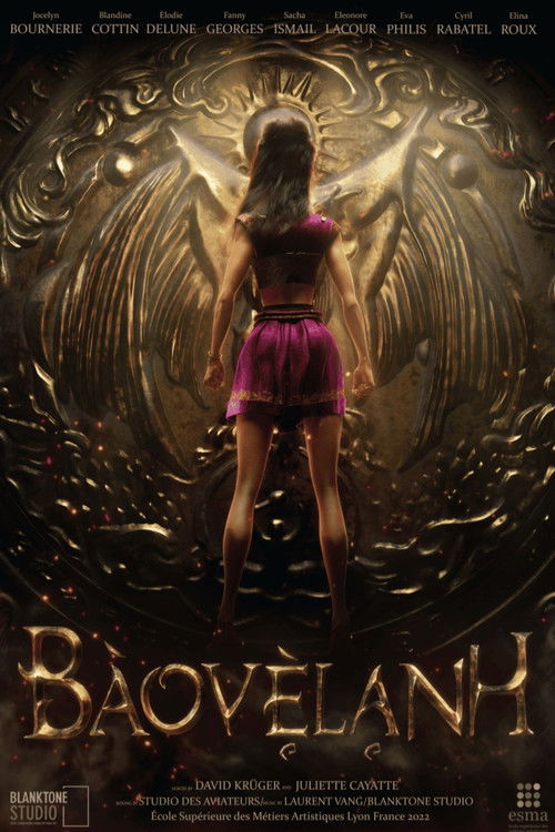 BaoVeLanh (2024) poster