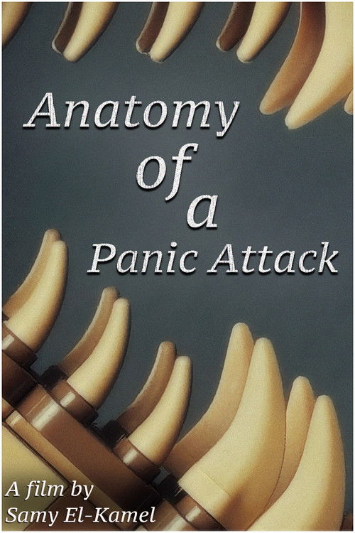 Anatomy Of A Panic Attack (2025) poster