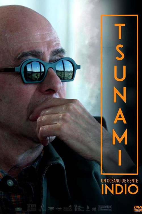 Tsunami, un océano de gente (2016) poster
