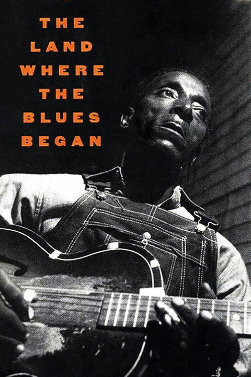 The Land Where the Blues Began (1979) poster