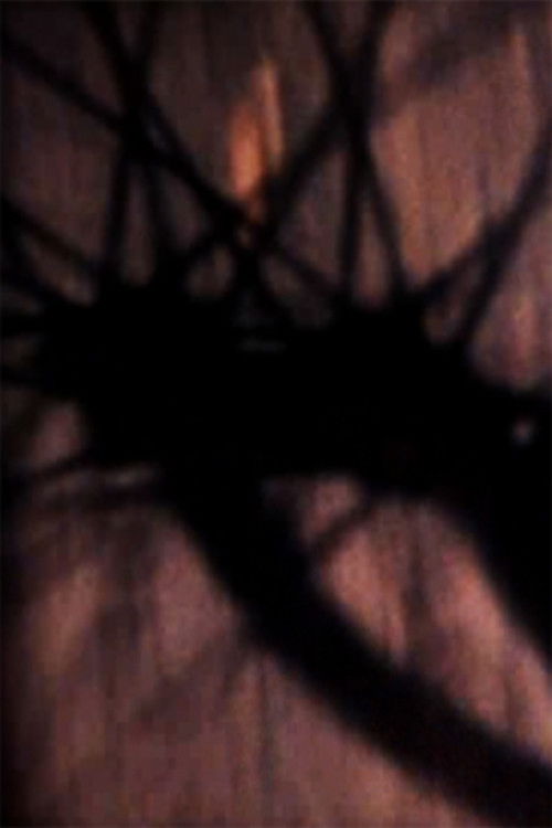 A Tale Part Told (1991) poster