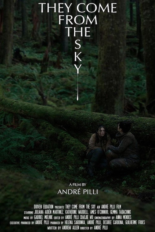 They Come From the Sky (2023) poster