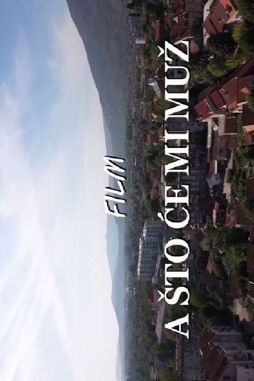 Why Do I Need a Husband for (2022) poster