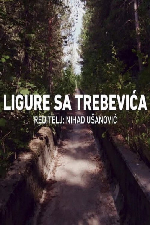 Bobsleigh in Trebevic (2024) poster