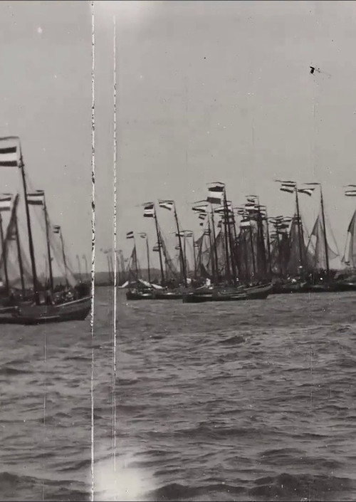 Dutch Fishing Fleet (1900) poster