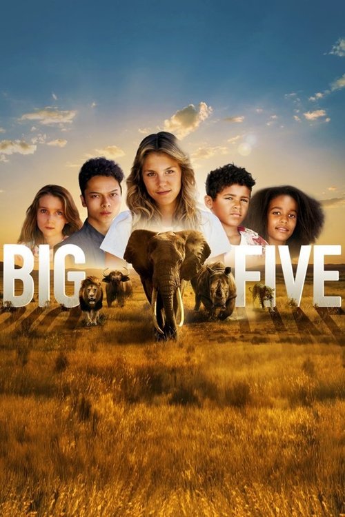 Big Five (2020) poster