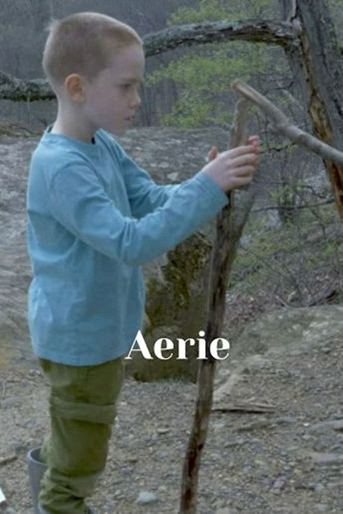 Aerie (2024) poster