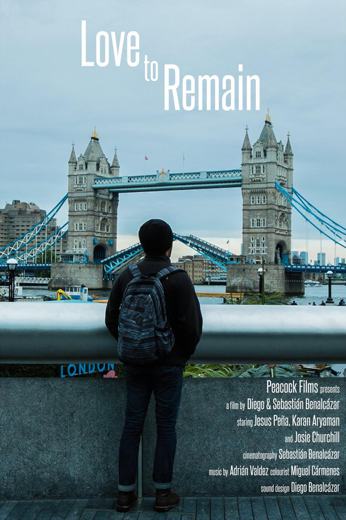 Love to remain (2017) poster