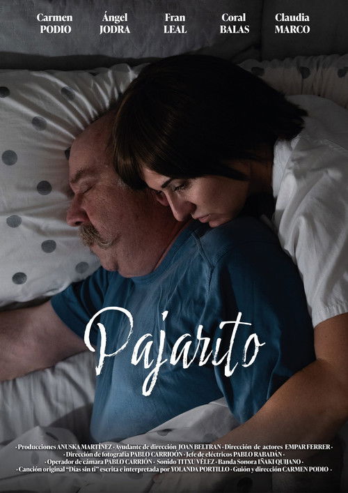 Pajarito (2025) poster