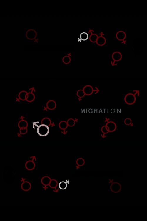 Migration (2008) poster