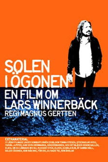 Sun in Your Eyes - A Film About Lars Winnerbäck (2008) poster