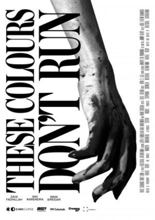 These Colours Don't Run (2022) poster