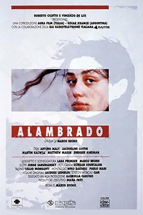 Alambrado (1991) poster