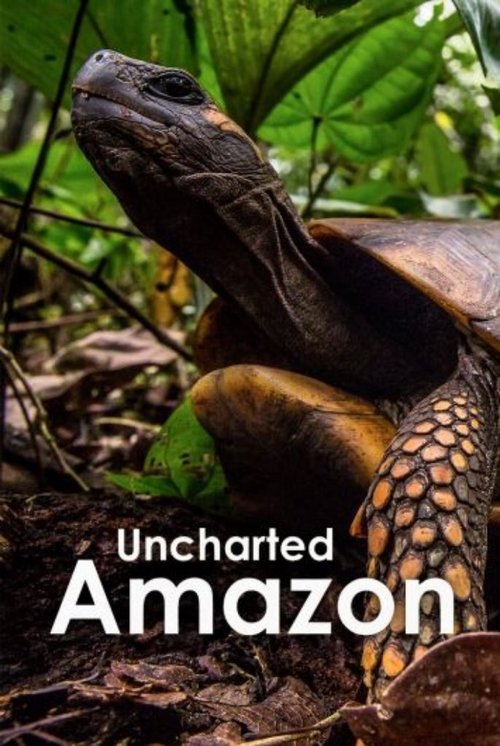 Uncharted Amazon (2016) poster
