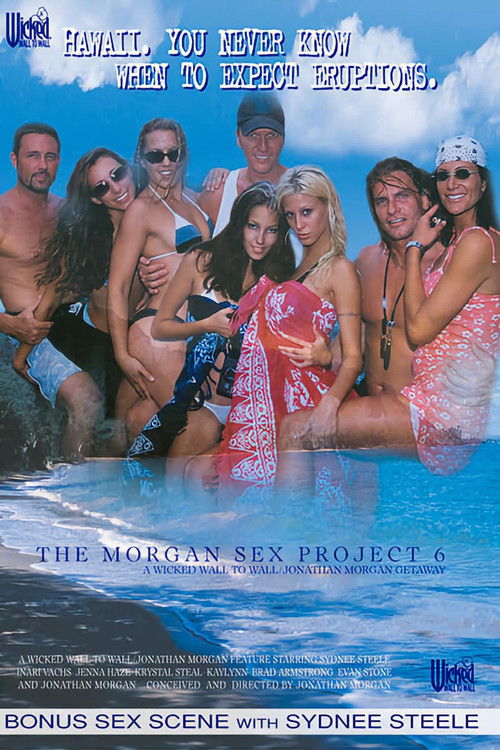 The Morgan Sex Project 6 (2002) poster