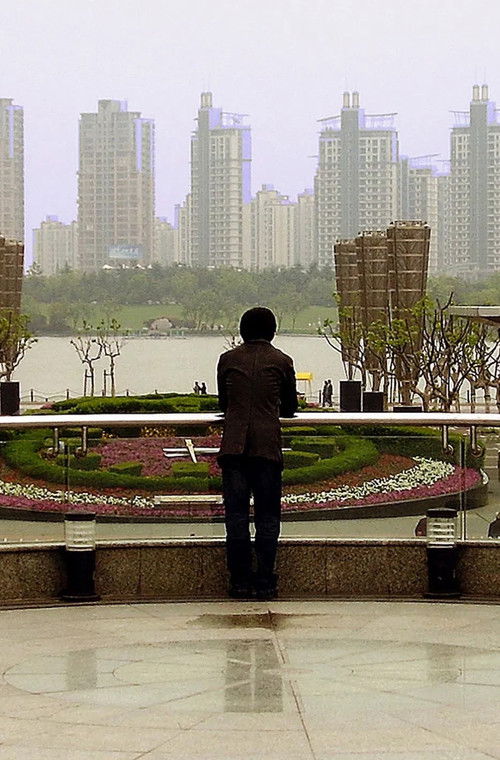 Mr. Wong's World (2007) poster