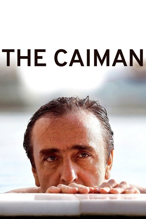Il caimano (2006) poster