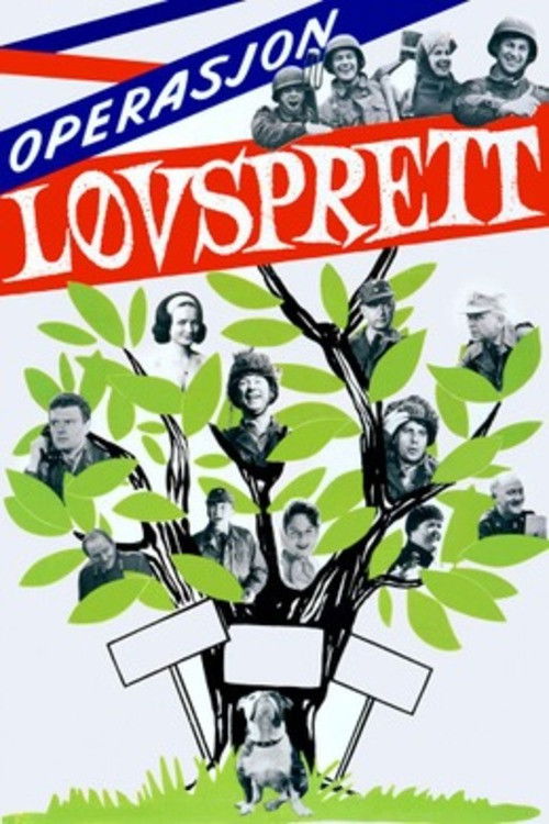 Operasjon Løvsprett (1962) poster