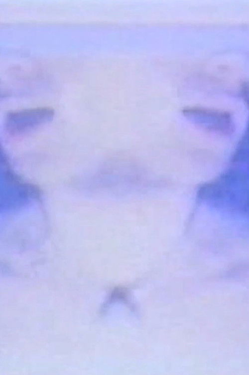 The Heavens (1977) poster