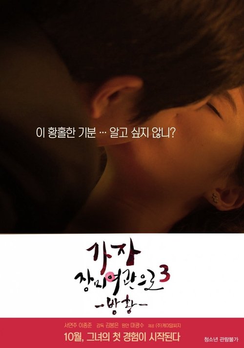 가자! 장미여관으로 3: 방황 (2014) poster