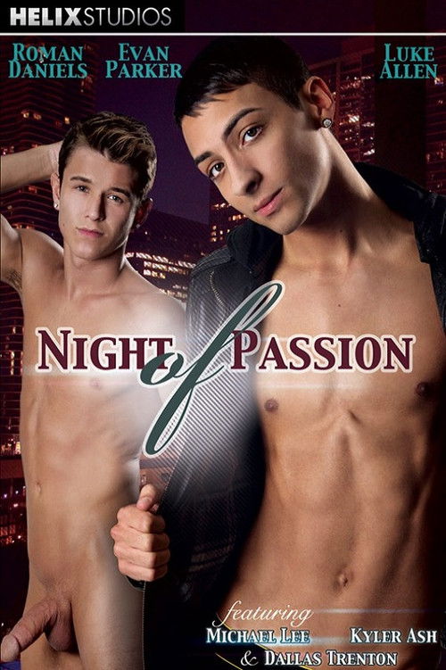 Night of Passion (2013) poster